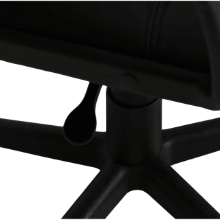 Fauteuil de bureau Cellan noir