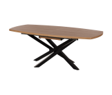 Table ovale fixe 230 cm pied étoile